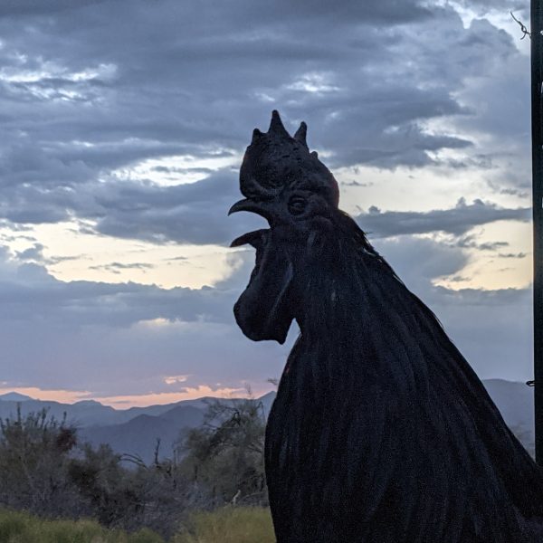 Rio Verde Sunrise, April 2, 2021