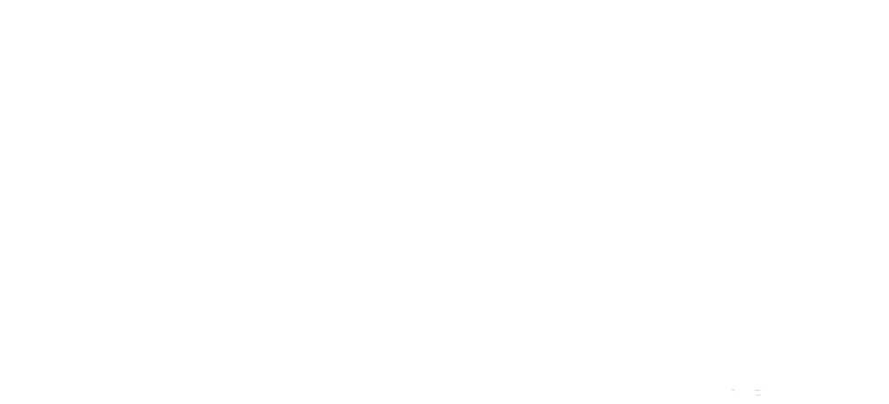 meet the chickens