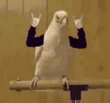 Rock on