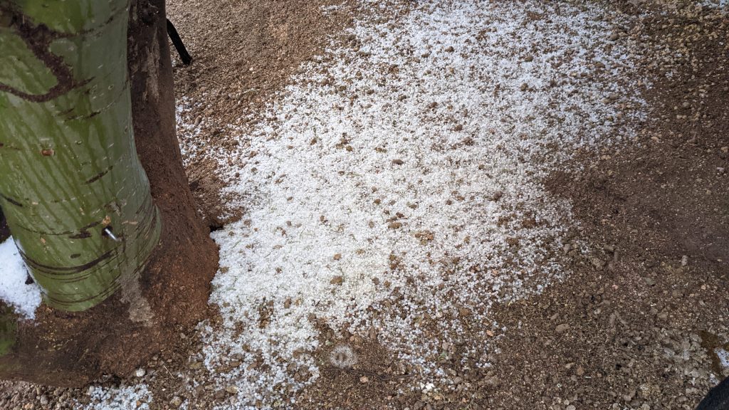 Sleet!