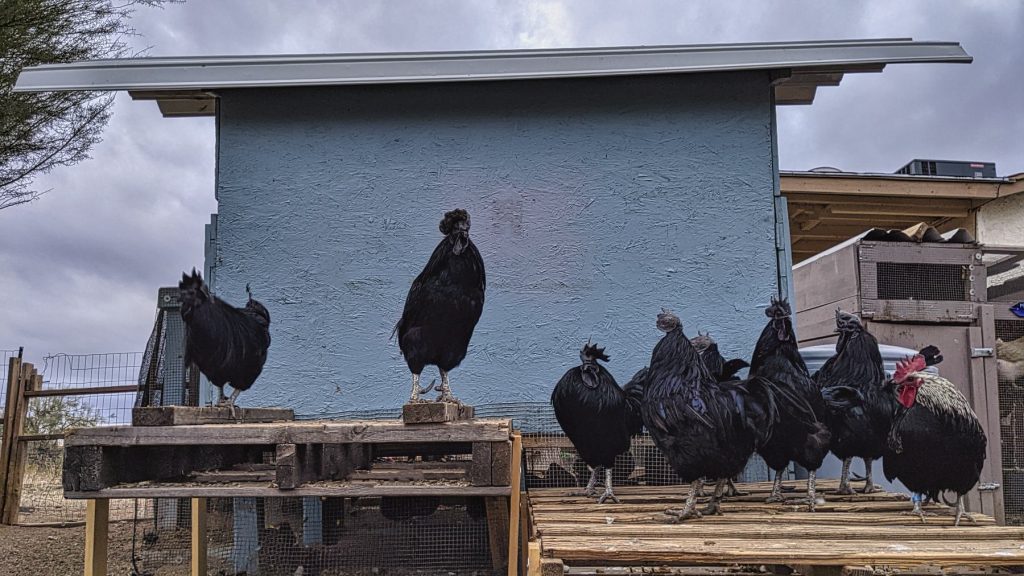 The crew hangin' on their pallets.