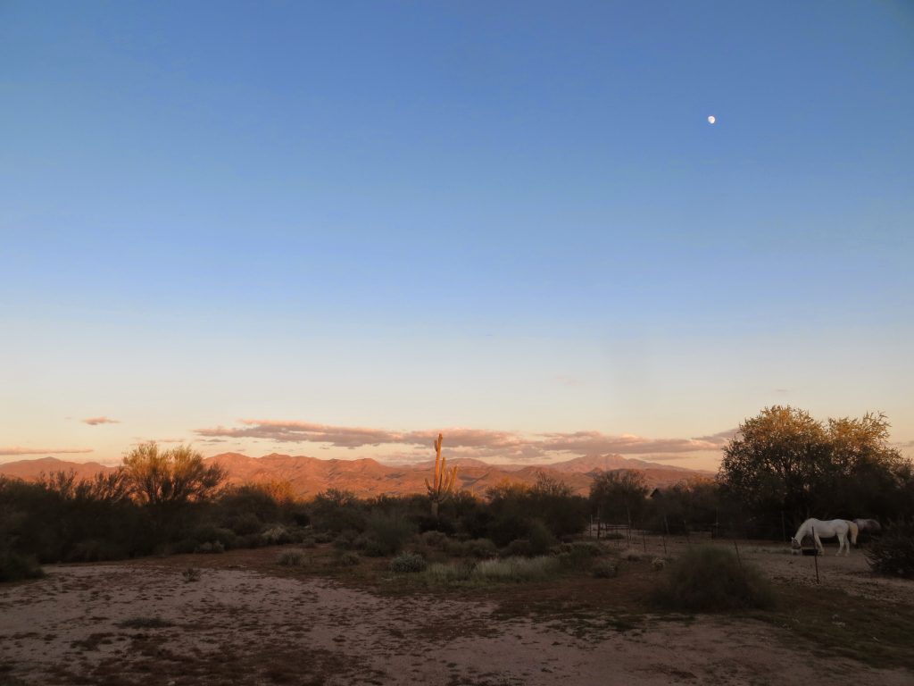 Rio Verde, Arizona