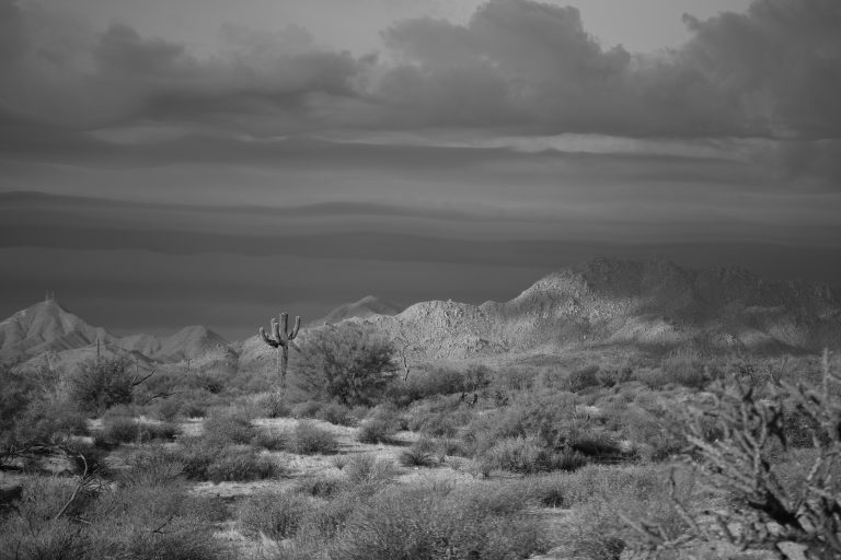 A black and white wide shot displays a vast desert landscape under a heavily clouded sky. In the midground, a tall Saguaro cactus stands prominently amidst scattered low-lying desert shrubs and dry vegetation. A range of rugged, rocky mountains stretches across the background, with the peak on the far left featuring multiple communication towers. The sky is filled with dark, layered clouds, creating a dramatic and atmospheric scene.