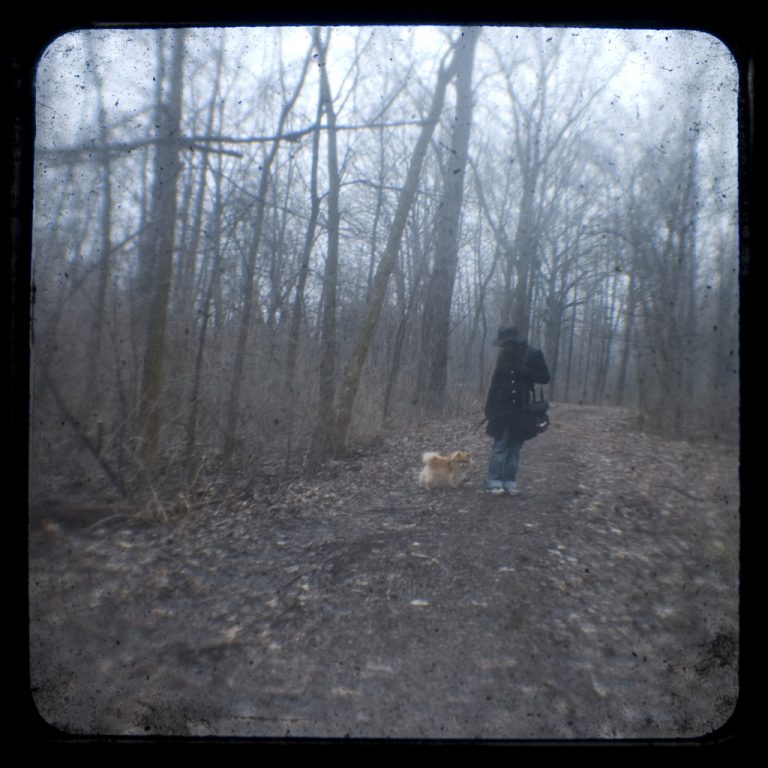 A person with a backpack walking a small fluffy dog along a bare winter forest trail.