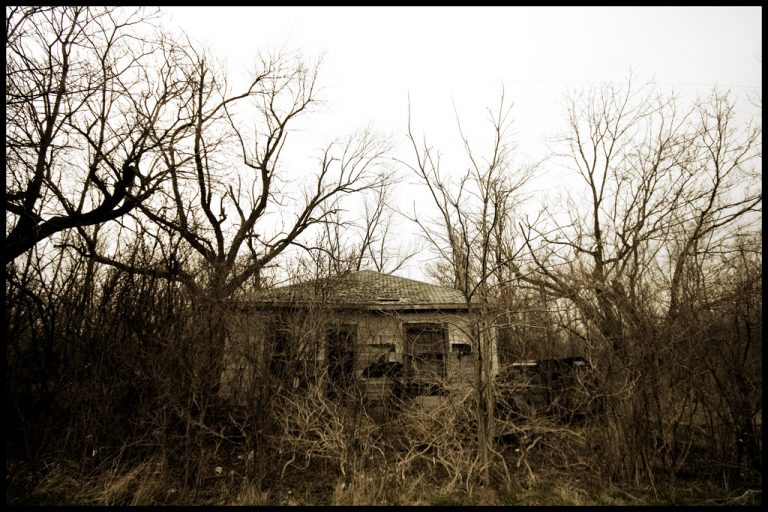 Abandoned house surrounded by leafless trees and overgrown brush on an overcast day.